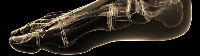 Biomechanics and postural analysis Biomechanics and postural analysis